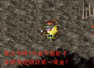 ���Ŵ���176��Ұ�������ο���׬ȡ��һͰ��