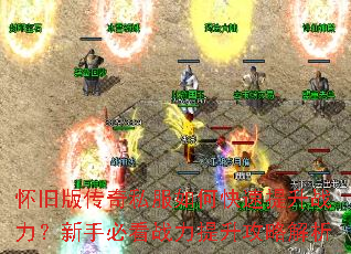 ���ɰ洫��˽����ο�������ս�������ֱؿ�ս���������Խ���