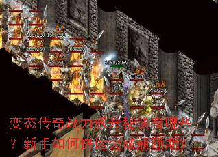 ��̬����ս������ؾ�����Щ��������ο���ͻ��ƿ���ڣ�