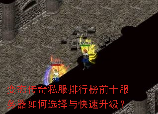 ��̬����˽�����а�ǰʮ���������ѡ�������������