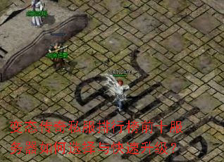 ��̬����˽�����а�ǰʮ���������ѡ�������������