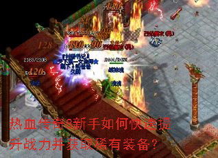 ��Ѫ����8������ο�������ս������ȡϡ��װ����