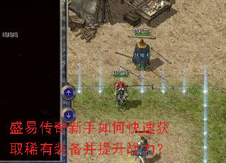 ʢ�״���������ο��ٻ�ȡϡ��װ��������ս����