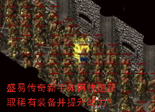 ʢ�״���������ο��ٻ�ȡϡ��װ��������ս����