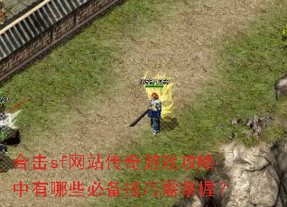 �ϻ�sf��վ������Ϸ����������Щ�ر����������գ�