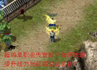 ���൥ְҵ����������ο�������ս�����ȡ����װ����