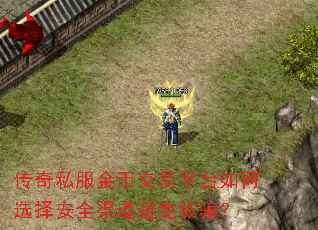 ����˽����ҽ���ƽ̨���ѡ��ȫ�������ⱻƭ��