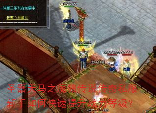 ʥ������֮ħ�Ǵ�˵����˽��������ο�������ս���ȼ���