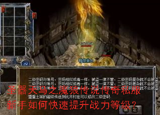 ʥ������֮ħ�Ǵ�˵����˽��������ο�������ս���ȼ���