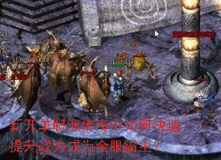 �¿���ְҵ��������ο�������ս����Ϊȫ��������