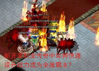 �¿���ְҵ��������ο�������ս����Ϊȫ��������