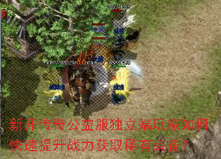 �¿����湫��������������ο�������ս����ȡϡ��װ����