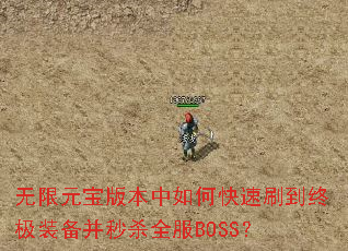 ����Ԫ���汾����ο���ˢ���ռ�װ������ɱȫ��BOSS��