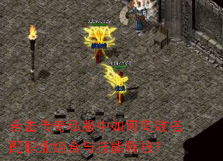 �ϻ�����˽������θ�Ч����ְҵ����뼼���ͷţ�