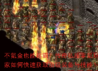 ��봽�Ҳ�ܳưԣ�����˽����������ο��ٻ�ȡ����װ���뼼�ܣ�