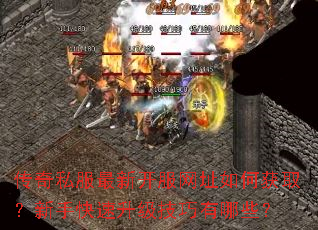 ����˽�����¿�����ַ��λ�ȡ�����ֿ���������������Щ��