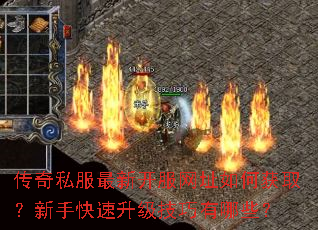 ����˽�����¿�����ַ��λ�ȡ�����ֿ���������������Щ��