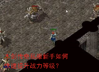 ľ������˽��������ο�������ս���ȼ���