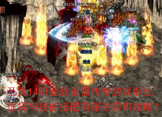 ʥ��14ְҵ��¼��������Ϸְҵѡ���뼼�ܴ�������Щʵ�ù��ԣ�