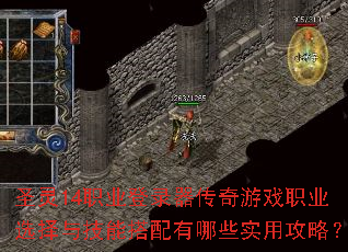 ʥ��14ְҵ��¼��������Ϸְҵѡ���뼼�ܴ�������Щʵ�ù��ԣ�