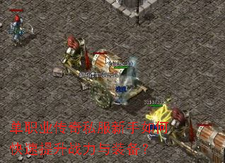 ��ְҵ����˽��������ο�������ս����װ����