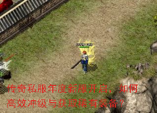 ����˽������·���������θ�Ч�弶���ȡϡ��װ����