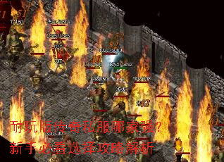 ����洫��˽���ļ�ǿ�����ֱؿ�ѡ���Խ���