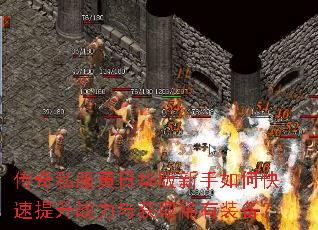 ����˽�����ջ���������ο�������ս�����ȡϡ��װ����