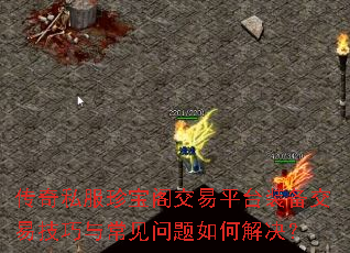 ����˽���䱦����ƽ̨װ�����׼����볣��������ν����