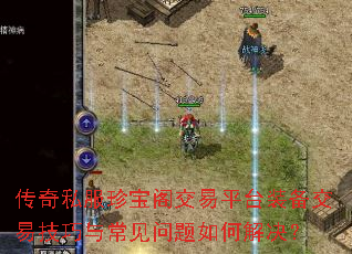 ����˽���䱦����ƽ̨װ�����׼����볣��������ν����