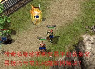 ����˽���䱦����ƽ̨װ�����׼����볣��������ν����