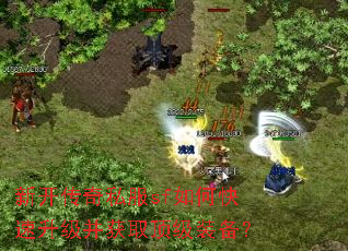 �¿�����˽��sf��ο�����������ȡ����װ����