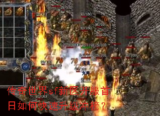 传奇世界sf新区开服首日如何快速升级冲榜? 传奇世界sf新区开服首日如何快速升级冲榜?