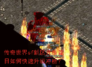 传奇世界sf新区开服首日如何快速升级冲榜? 传奇世界sf新区开服首日如何快速升级冲榜?