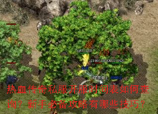 ��Ѫ����˽������ʱ�����β�ѯ�����ֱر���������Щ���ɣ�