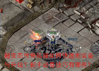 ����̬����˽����ο���ˢװ�������������ֱؿ���������Щ��