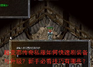 ����̬����˽����ο���ˢװ�������������ֱؿ���������Щ��