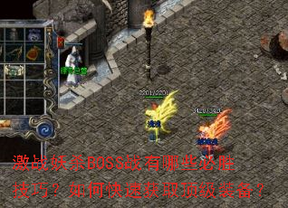 ��ս��ɱBOSSս����Щ��ʤ���ɣ���ο��ٻ�ȡ����װ����