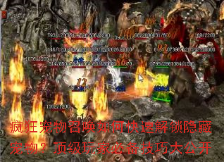 �������ٻ���ο��ٽ������س��������ұر����ɴ󹫿�