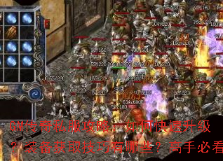 GM����˽�����ԣ���ο���������װ����ȡ��������Щ�����ֱؿ�