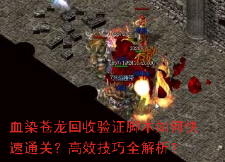 ѪȾ����������֤�ű���ο���ͨ�أ���Ч����ȫ������