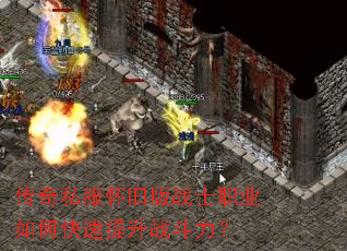 ����˽�����ɰ�սʿְҵ��ο�������ս������