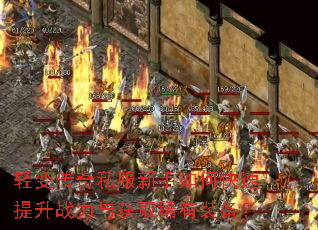 ��䴫��˽��������ο�������ս�����ȡϡ��װ����