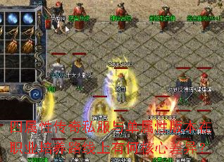 �����Դ���˽���뵥���԰汾��ְҵ����·�����кκ��Ĳ��죿