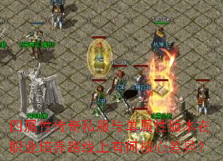 �����Դ���˽���뵥���԰汾��ְҵ����·�����кκ��Ĳ��죿