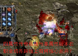 �����Դ���˽���뵥���԰汾��ְҵ����·�����кκ��Ĳ��죿