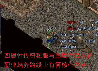 �����Դ���˽���뵥���԰汾��ְҵ����·�����кκ��Ĳ��죿