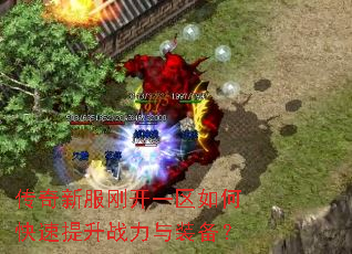 �����·��տ�һ����ο�������ս����װ����