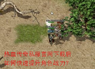 ��Ѫ����˽���������غ���ο���������ɫս����