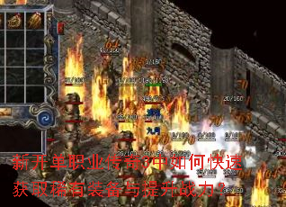 �¿���ְҵ����3����ο��ٻ�ȡϡ��װ��������ս����